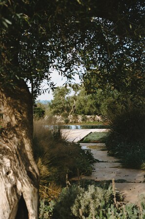 Property grounds - Luxury Villa with Infinity pool at 5 minutes from Ostuni 7 minutes to the sea (Puglia)