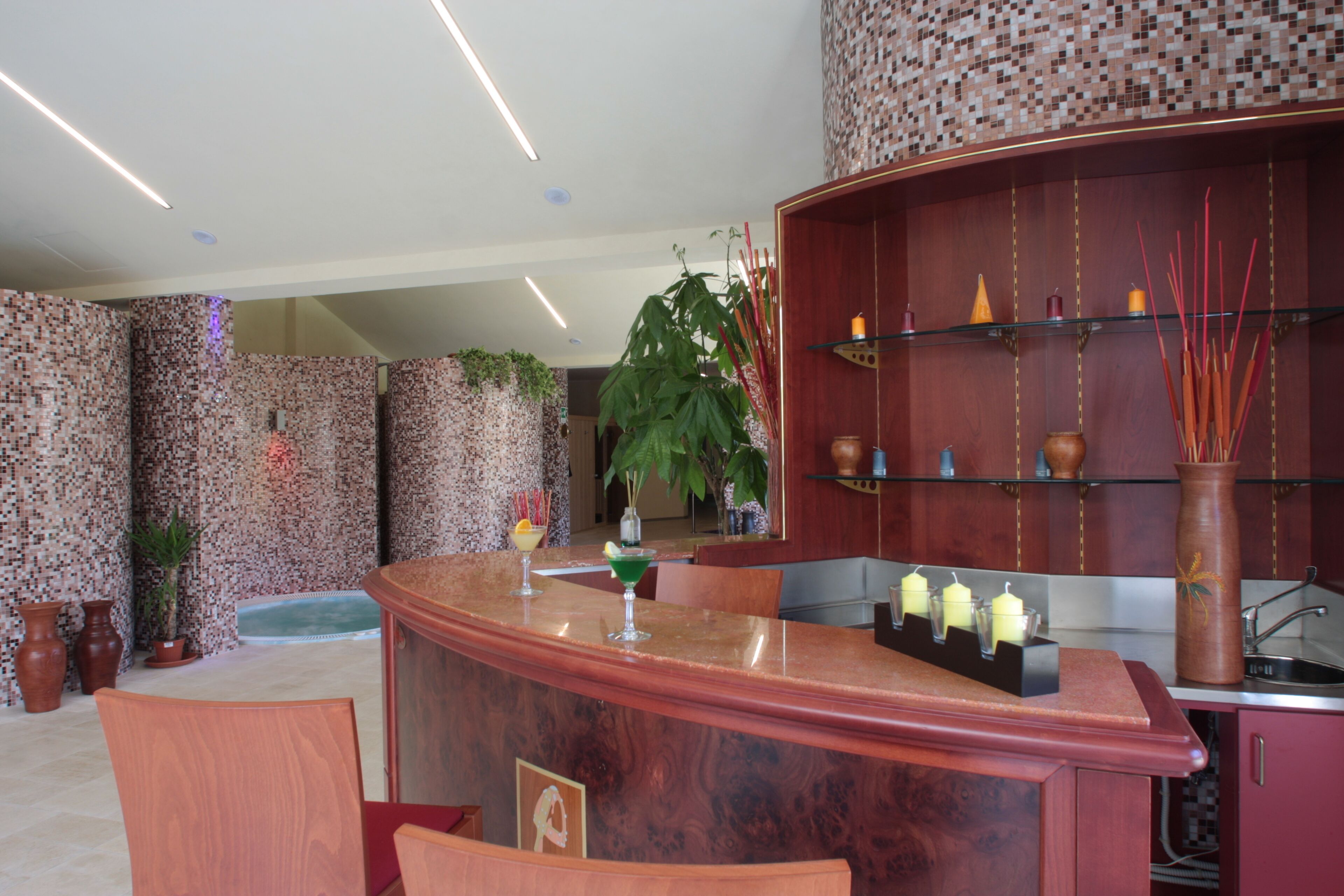 Un espace bar avec un comptoir en bois, une grande plante en pot et divers objets décoratifs.