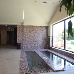 Een sauna, een bubbelbad, een stoombad, een Turks bad/hammam