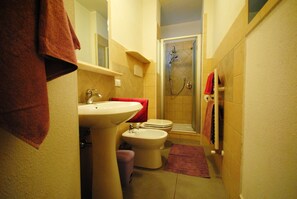 Regadera, secadora de cabello, bidet, toallas 