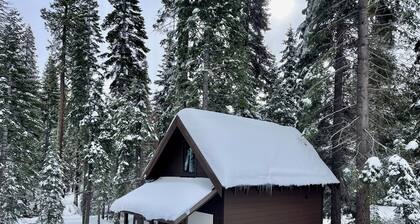 A peaceful escape, a Mini cabin near Sierra ski resort in Lake Tahoe