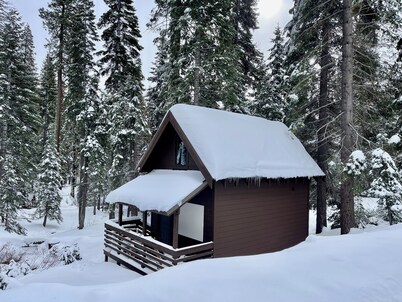 A peaceful escape, a Mini cabin near Sierra ski resort in Lake Tahoe