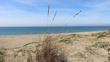 Una spiaggia nelle vicinanze, teli da spiaggia