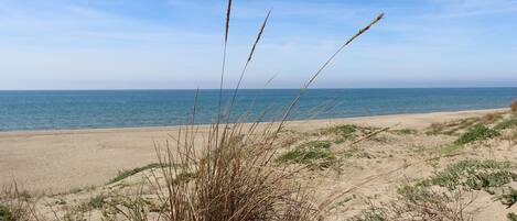 Nær stranden og strandhåndklær
