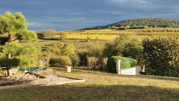 A rural landscape with a vineyard, a small building, and a gate. - Studio Spacieux, Route des Vins (Rosheim)