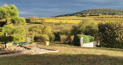 Studio Spacieux, Route des Vins