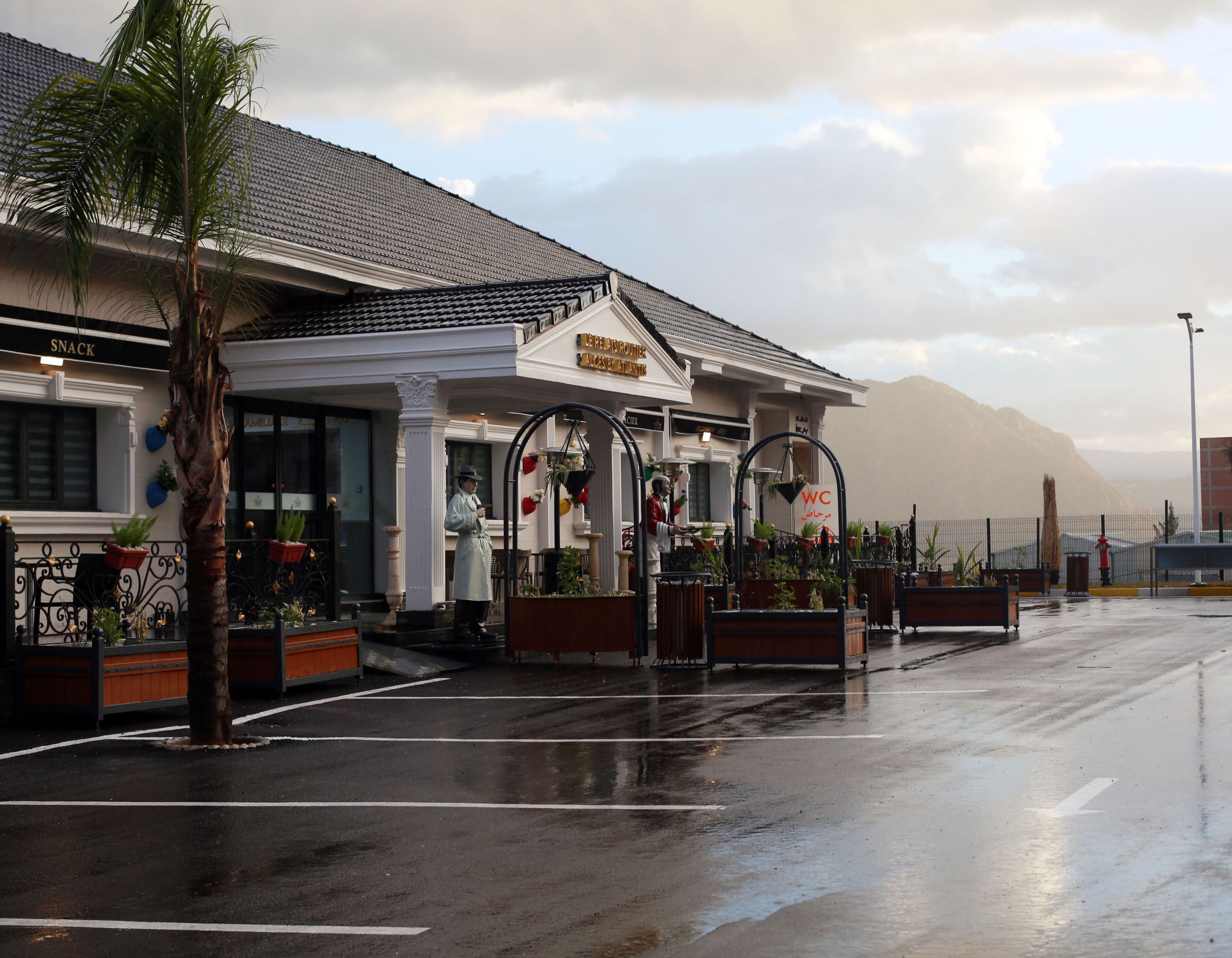 A hotel entrance with a wet pavement, a palm tree, and a mountain in the background.