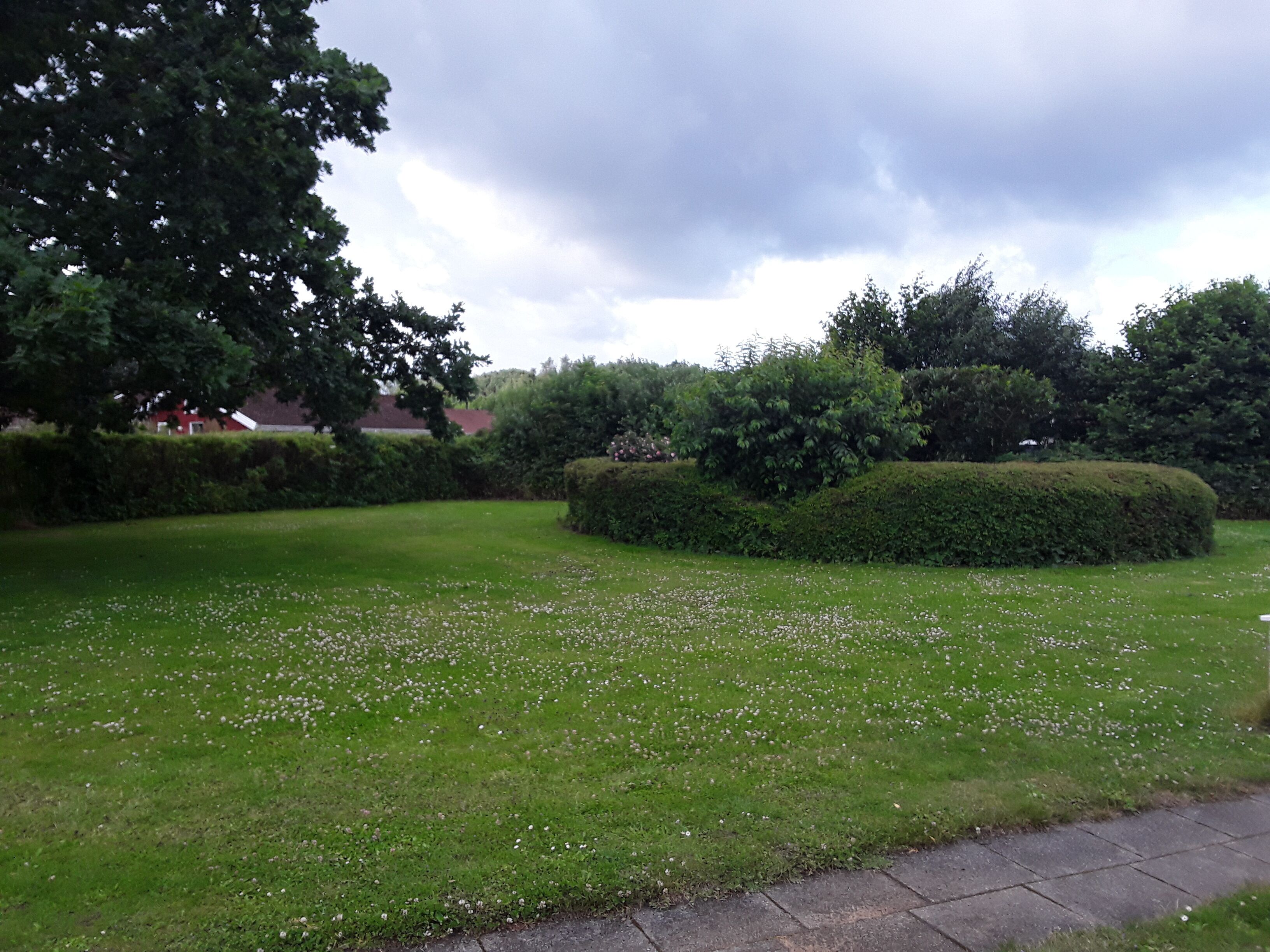 A well-maintained grassy area with a hedge and a tree.