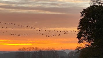 Cabaña | 1 dormitorio, wifi gratis, ropa de cama
