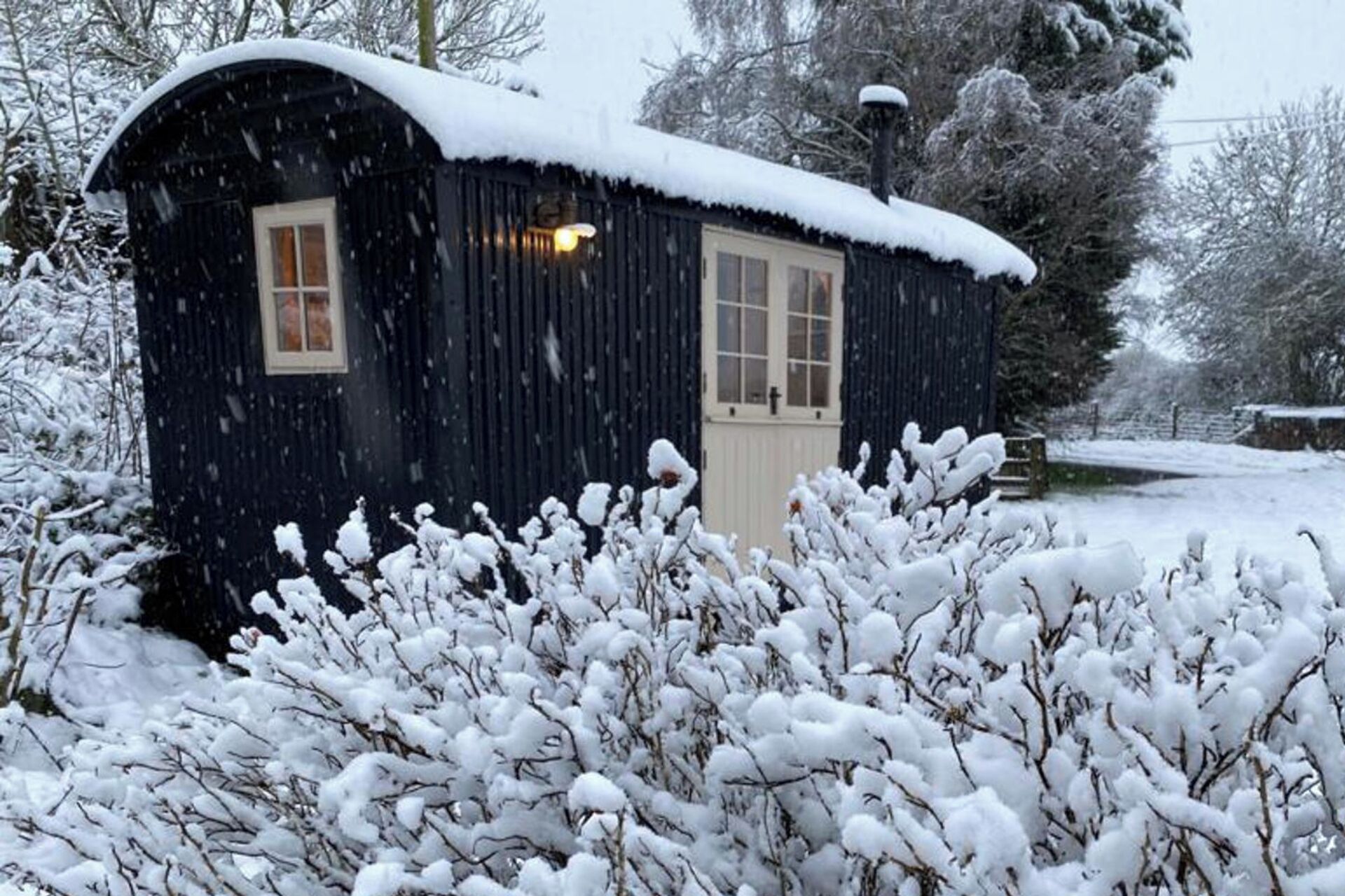 A small, dark wooden cabin with a snow-covered roof, surrounded by snow-laden bushes.