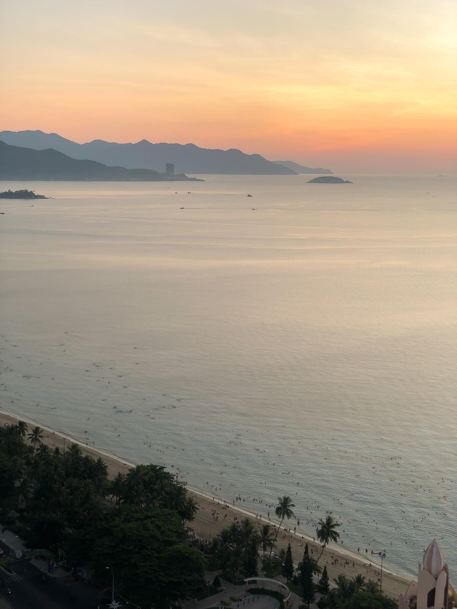 A beach with a calm sea, palm trees, and distant mountains.