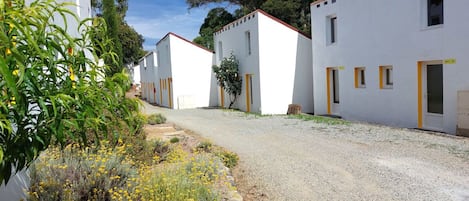 A row of white buildings with yellow doors and windows, a gravel path, and yellow flowers in the foreground.