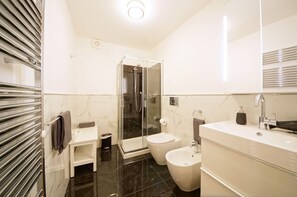Shower, hair dryer, bidet, towels