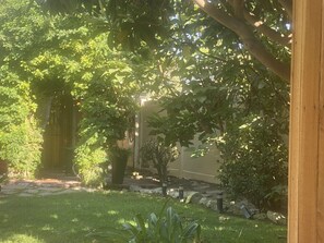 House | Property grounds