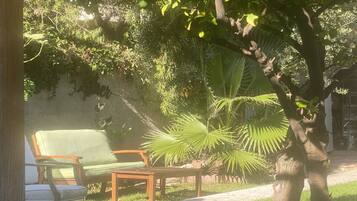 House | Property grounds