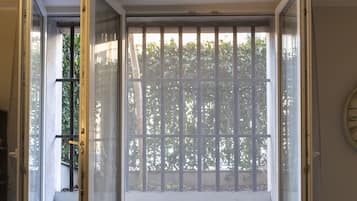 Vista desde la habitación