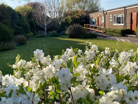 Garden. The Coastyard.