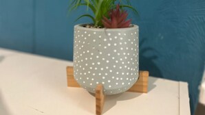 A potted plant on a white stand with a blue background. - Balham Double Deluxe Room 2 (London)