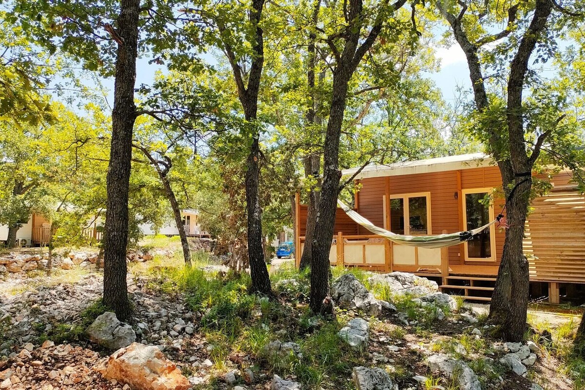 A wooden cabin with a hammock in a forested area.