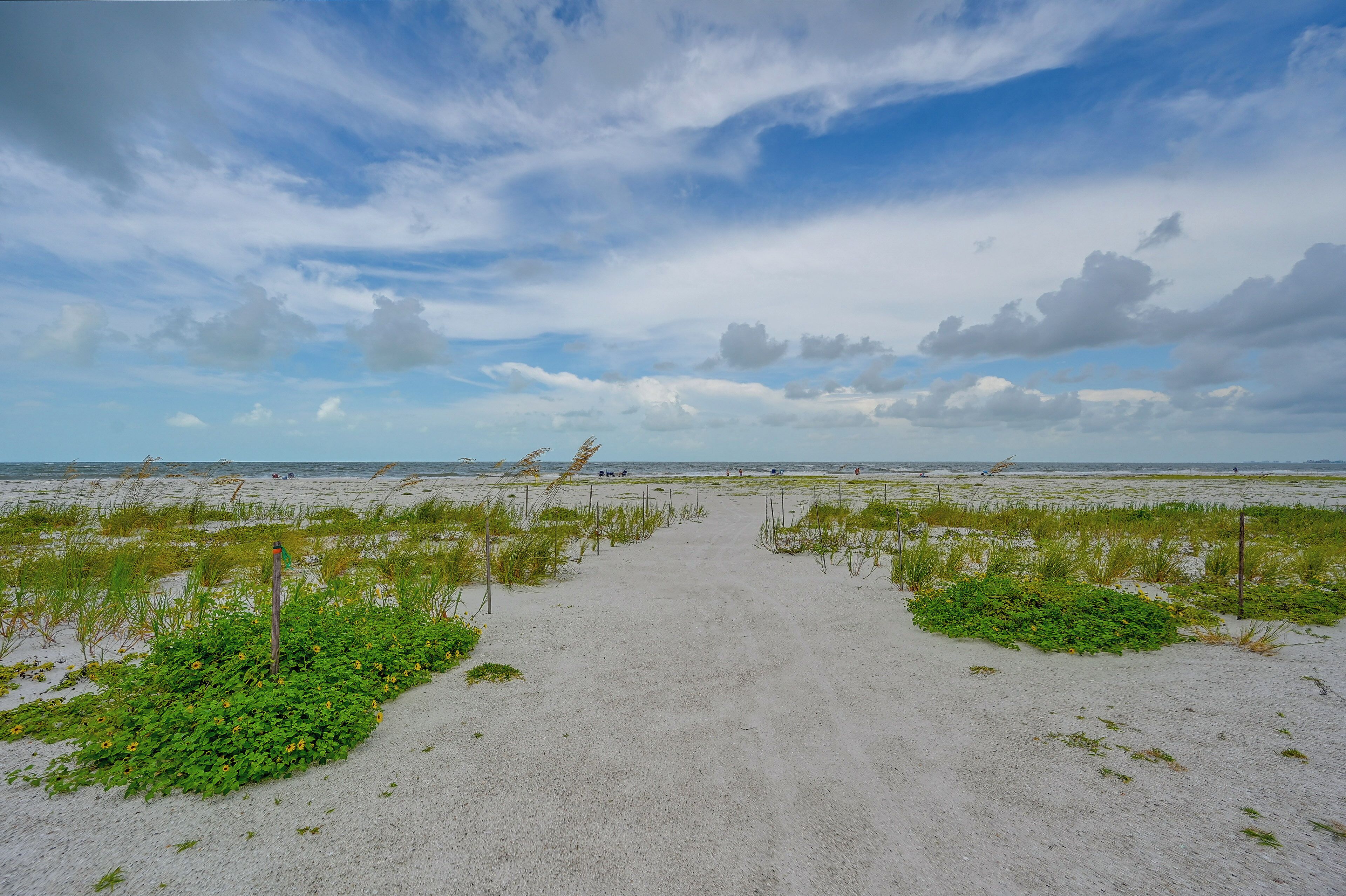 A sandy beach path leading to the ocean with sparse vegetation and a clear sky.