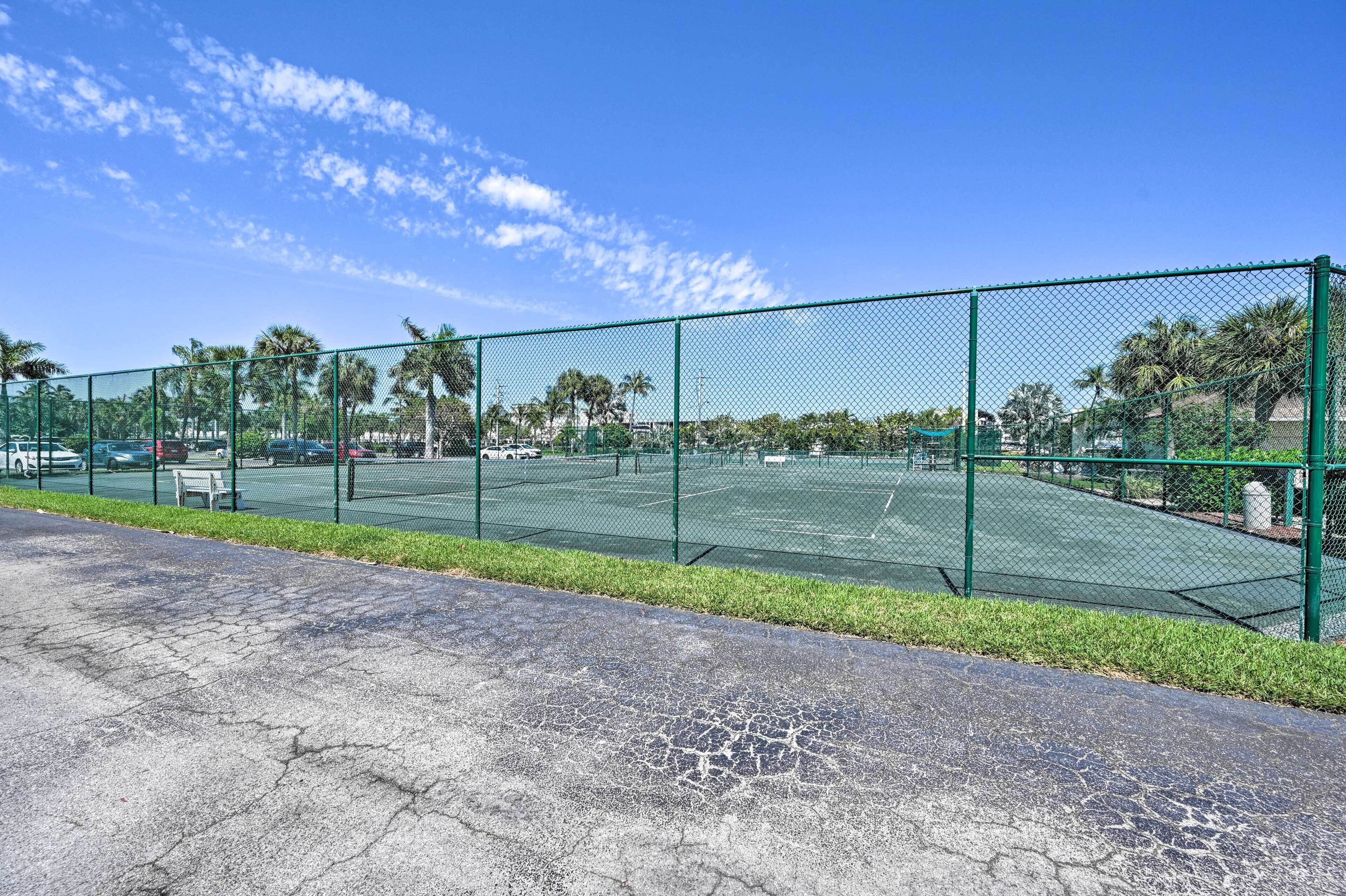 A tennis court enclosed by a green fence with palm trees in the background.