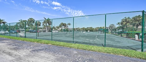 A tennis court enclosed by a green fence with palm trees in the background.