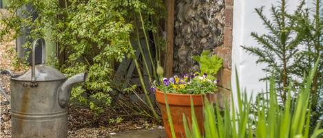 A metal watering can and a terracotta pot with flowers on a garden path.