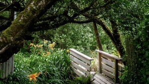 Eine Holzbrücke in einem üppigen Garten mit dichtem Grün und blühenden Pflanzen.