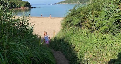 Traditional 3 bedroom Cottage, Dartmoor & Beaches