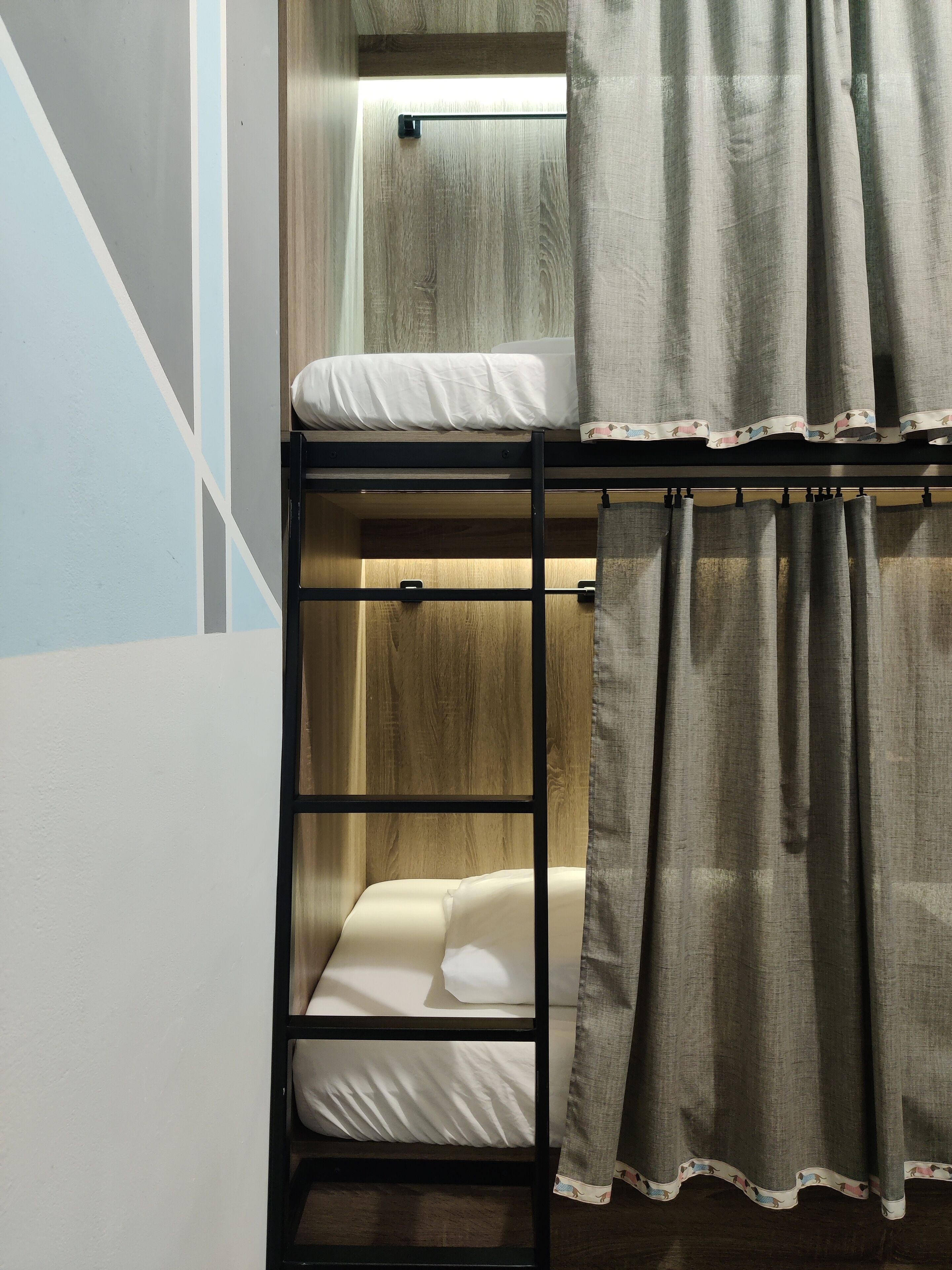 Foto - VIKI Kazimierz