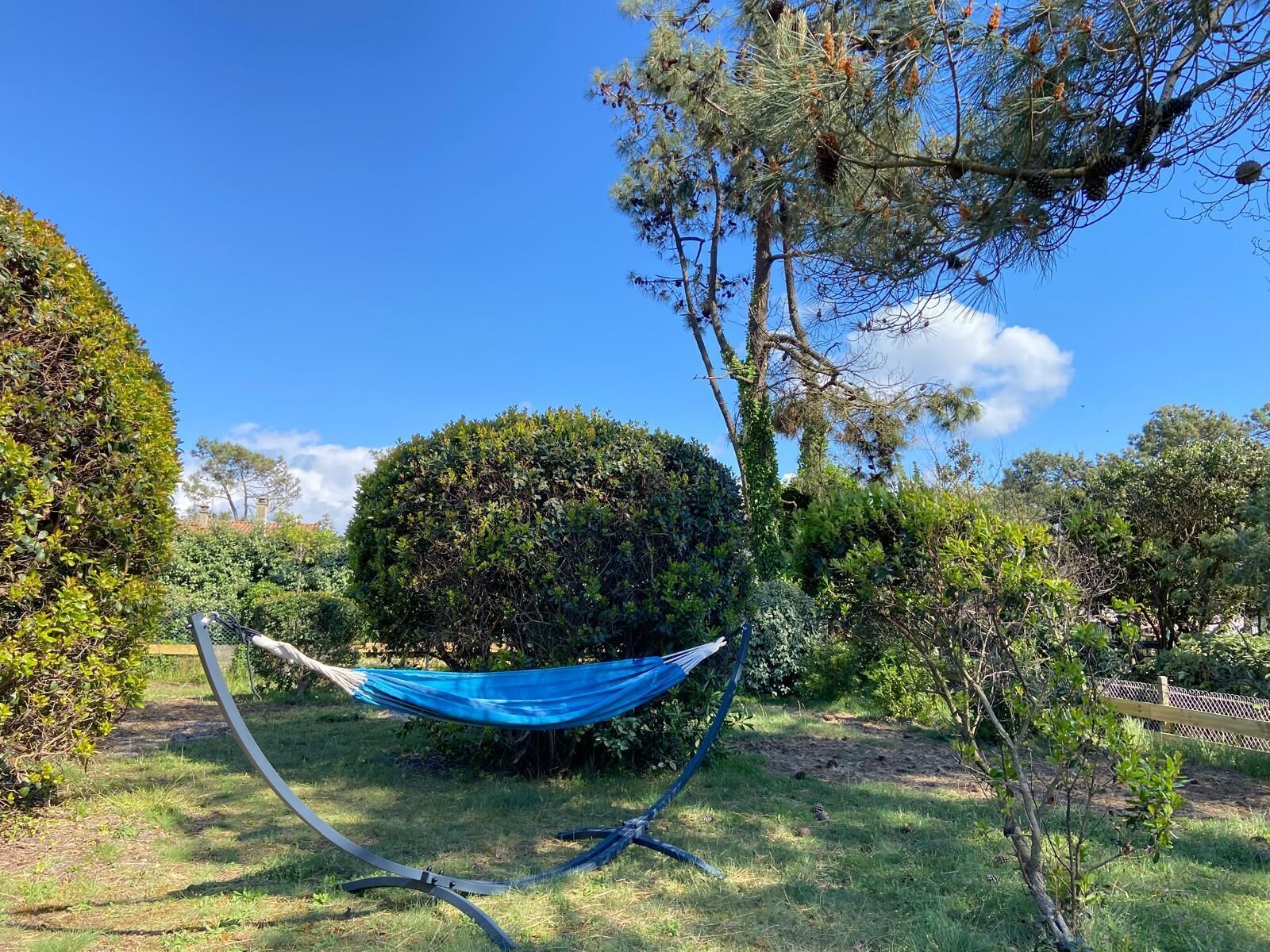A hammock tied between two trees in a well-maintained garden with neatly trimmed bushes and a clear blue sky.