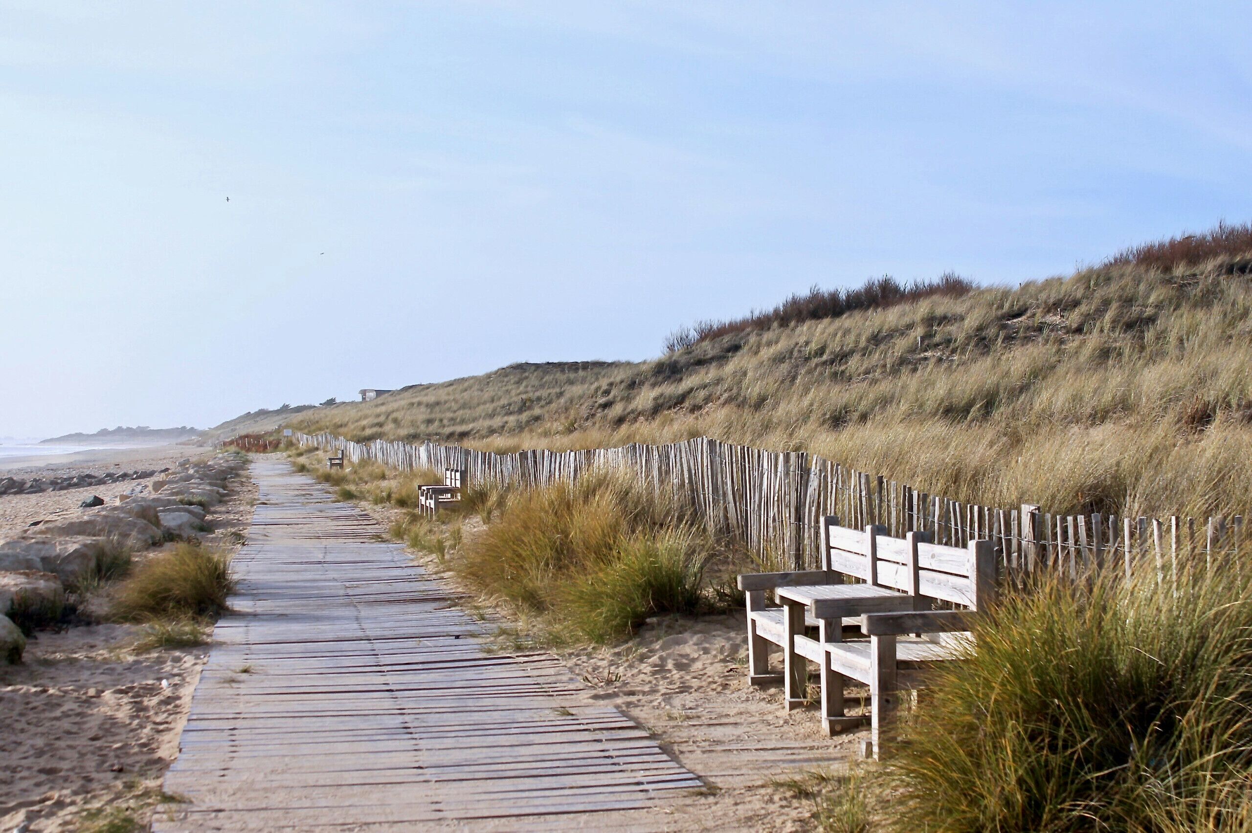Playa