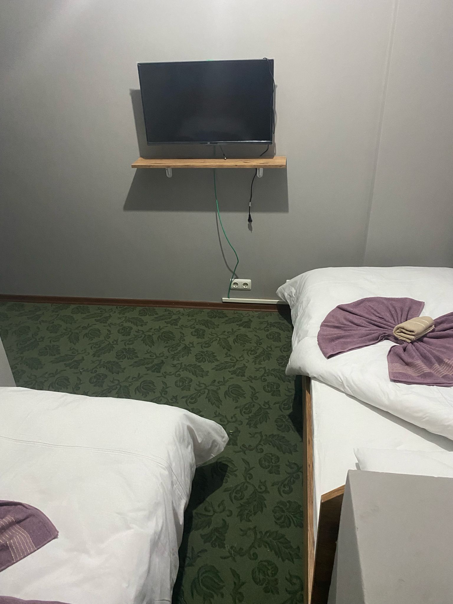 Ein Hotelzimmer mit zwei Betten, einem an einer Holzwand montierten Fernseher und einem grün gemusterten Teppich.