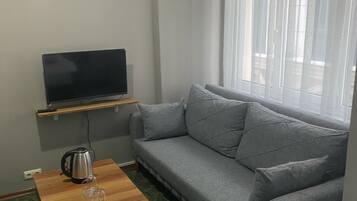 Una habitación con un sofá gris, una mesa de centro de madera, un televisor en un estante y una ventana con cortinas translúcidas.