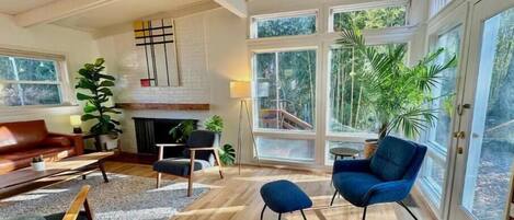 TV connectée, cheminée, livres