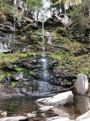 Ein Wasserfall stürzt über felsiges Gelände in ein ruhiges Becken, umgeben von viel Grün.