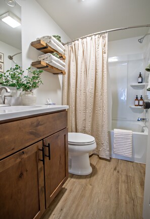 Hair dryer, towels, soap, shampoo