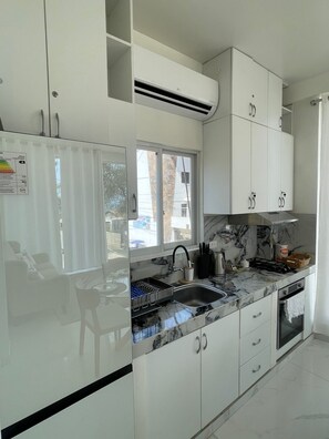 Fridge, oven, stovetop, electric kettle