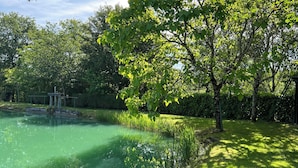 A tranquil outdoor area with a pond, lush greenery, and a small structure near the water.