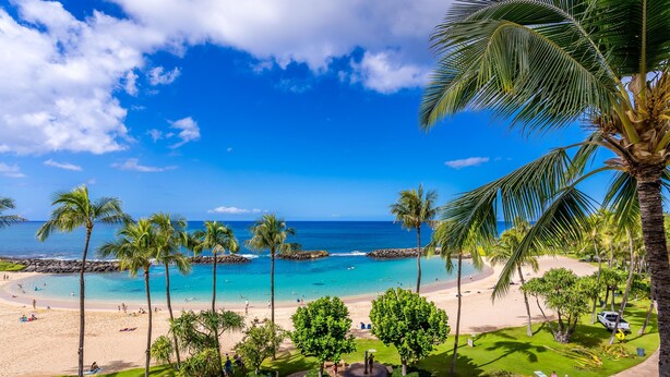 A beach with clear blue water, palm trees, and a rocky shoreline.