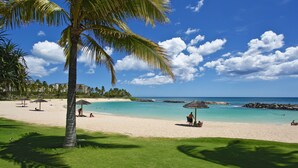 Ein Strand mit Palmen, blauem Himmel und ruhiger See.