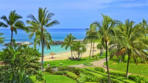 A tropical beach resort with palm trees, a well-maintained lawn, and a view of the ocean.