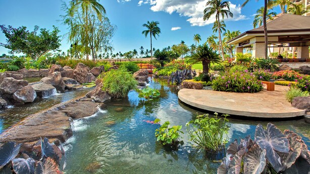 A koi pond surrounded by rocks and tropical plants, with a building in the background.
