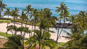 A beach with palm trees, a sandy shore, and a view of the ocean.