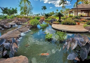 Escape to a serene oasis with a tranquil water feature, koi fish, and lush tropical plants.