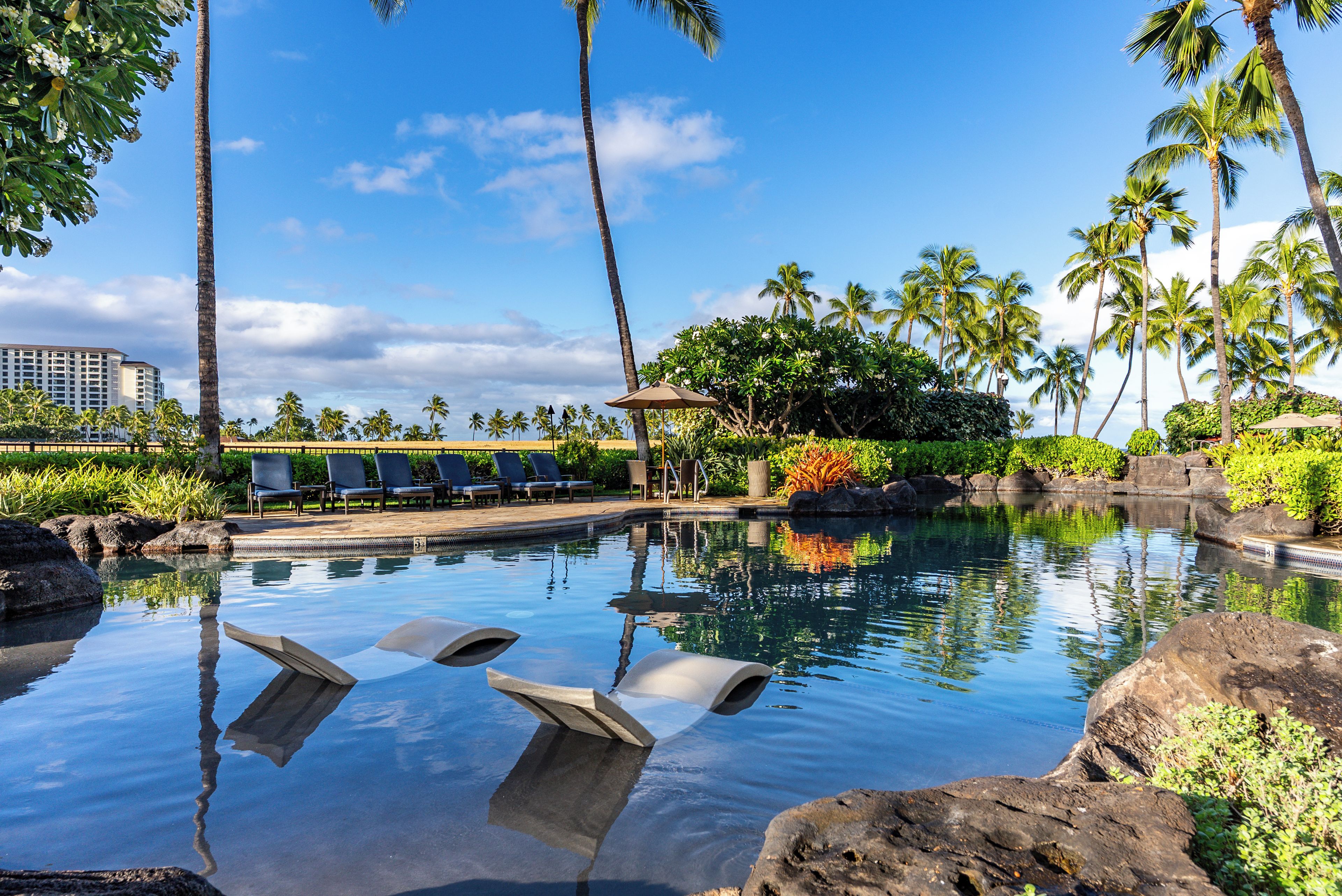 A clear pool with lounge chairs and palm trees, surrounded by a landscaped area with a view of a hotel building.