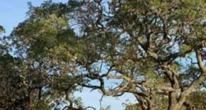 Wine and Whiskey in the Wild *Glamping an Adventure and Luxury