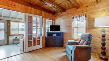 Televisión y chimenea