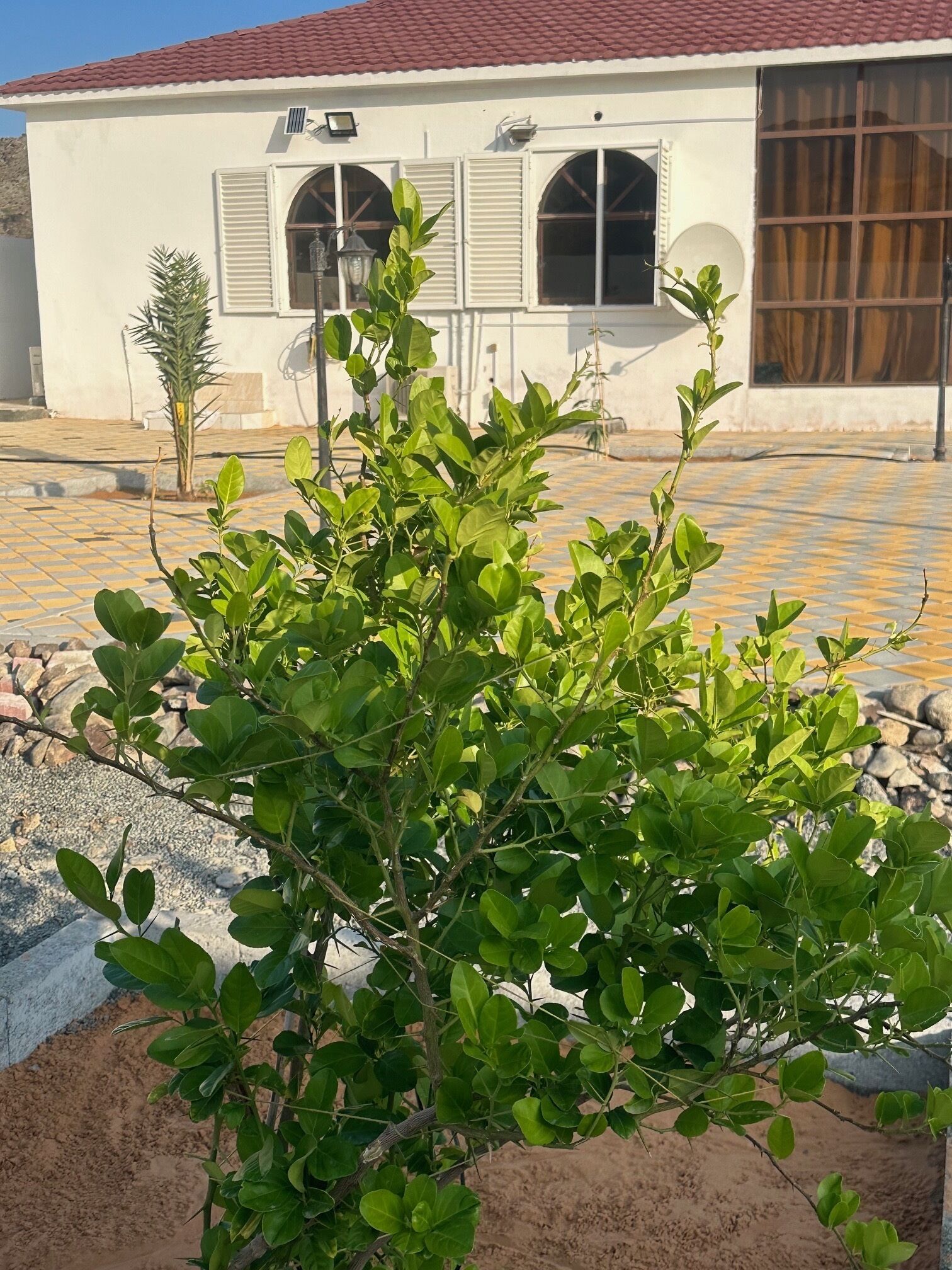 Cozy Mountain House near Hatta