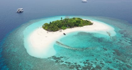 Manta Sea View